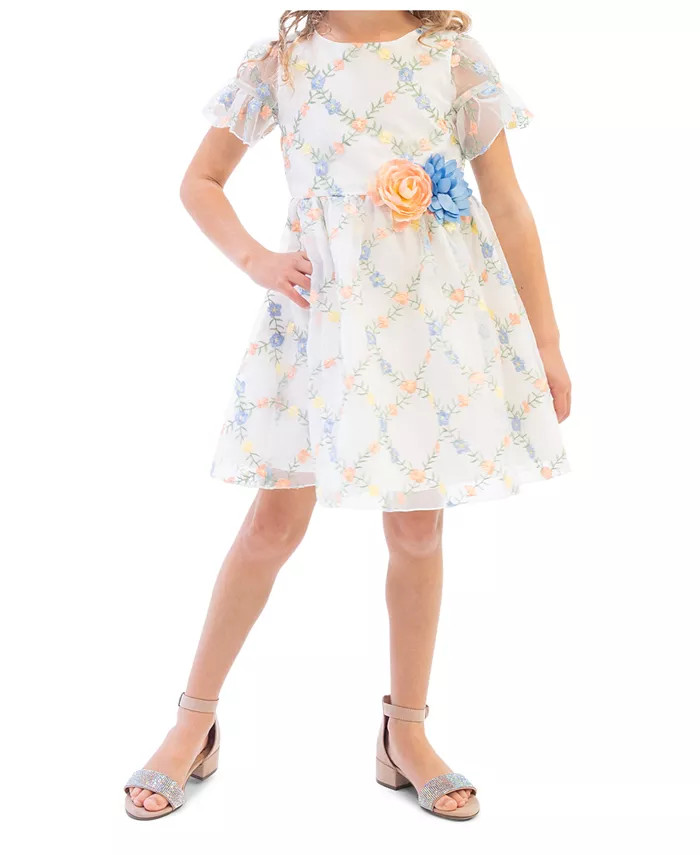 Little Girls 3D Floral Embroidered Social Dress | Macy's