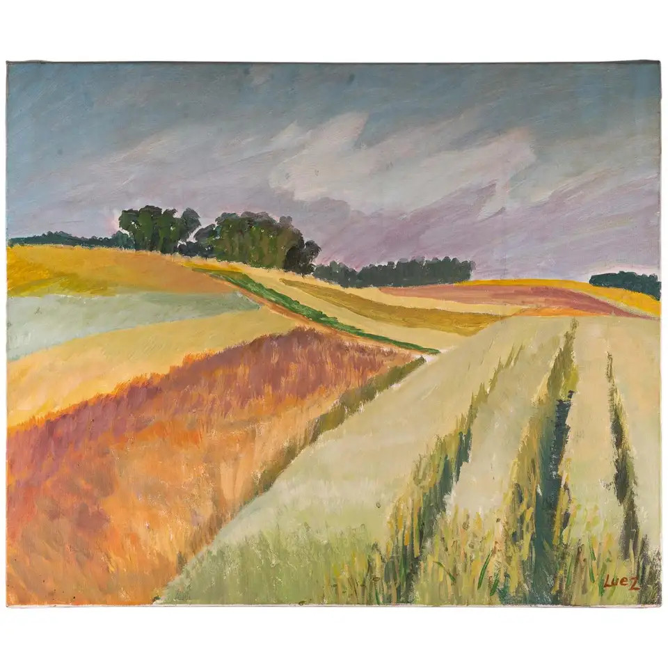 Landscape of Fields in the Countryside, 20th Century | 1stDibs