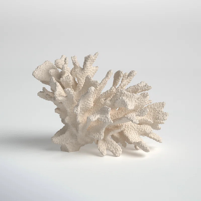 Kristen Coral Decor | Wayfair North America