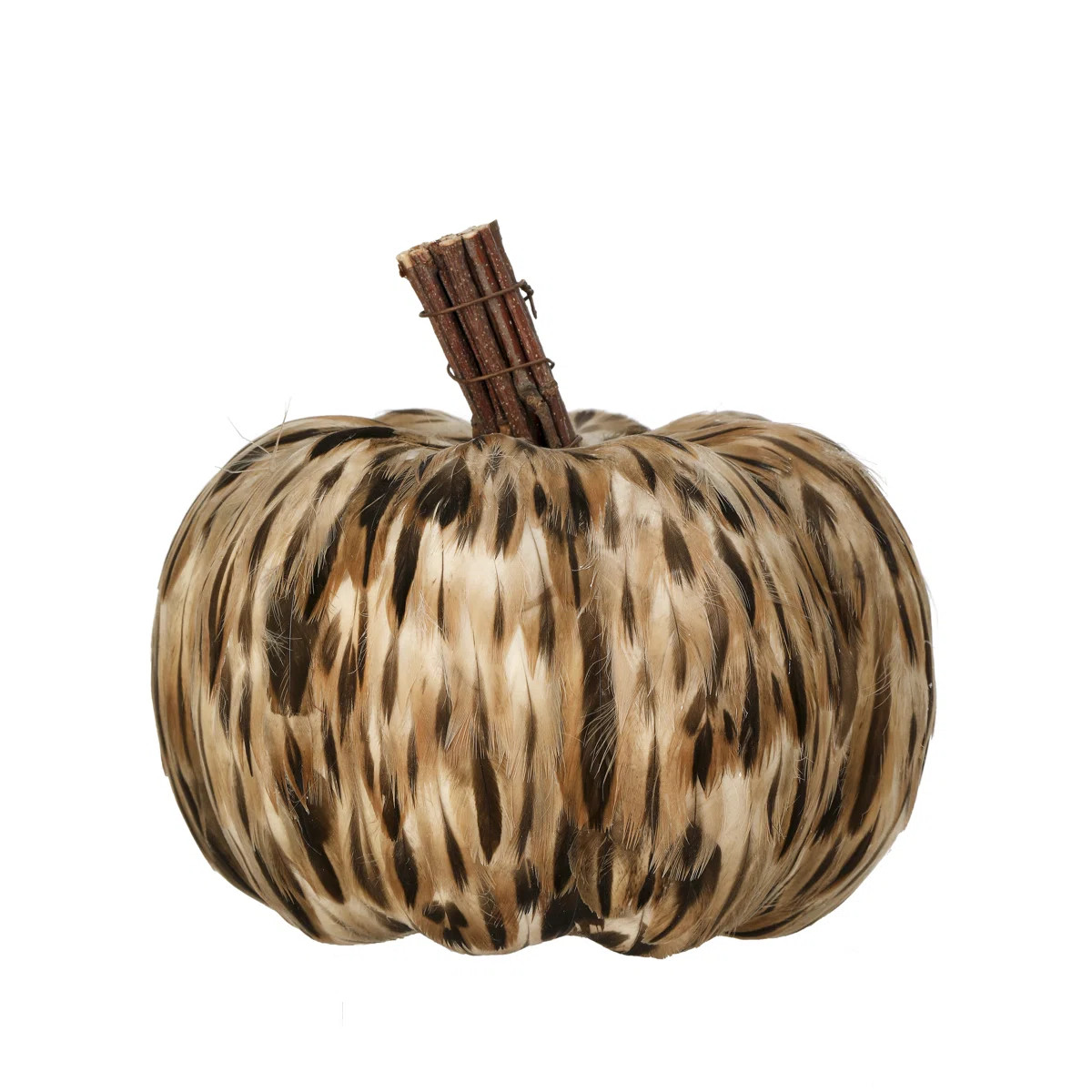5.5" Natural Feather Pumpkin | Wayfair North America