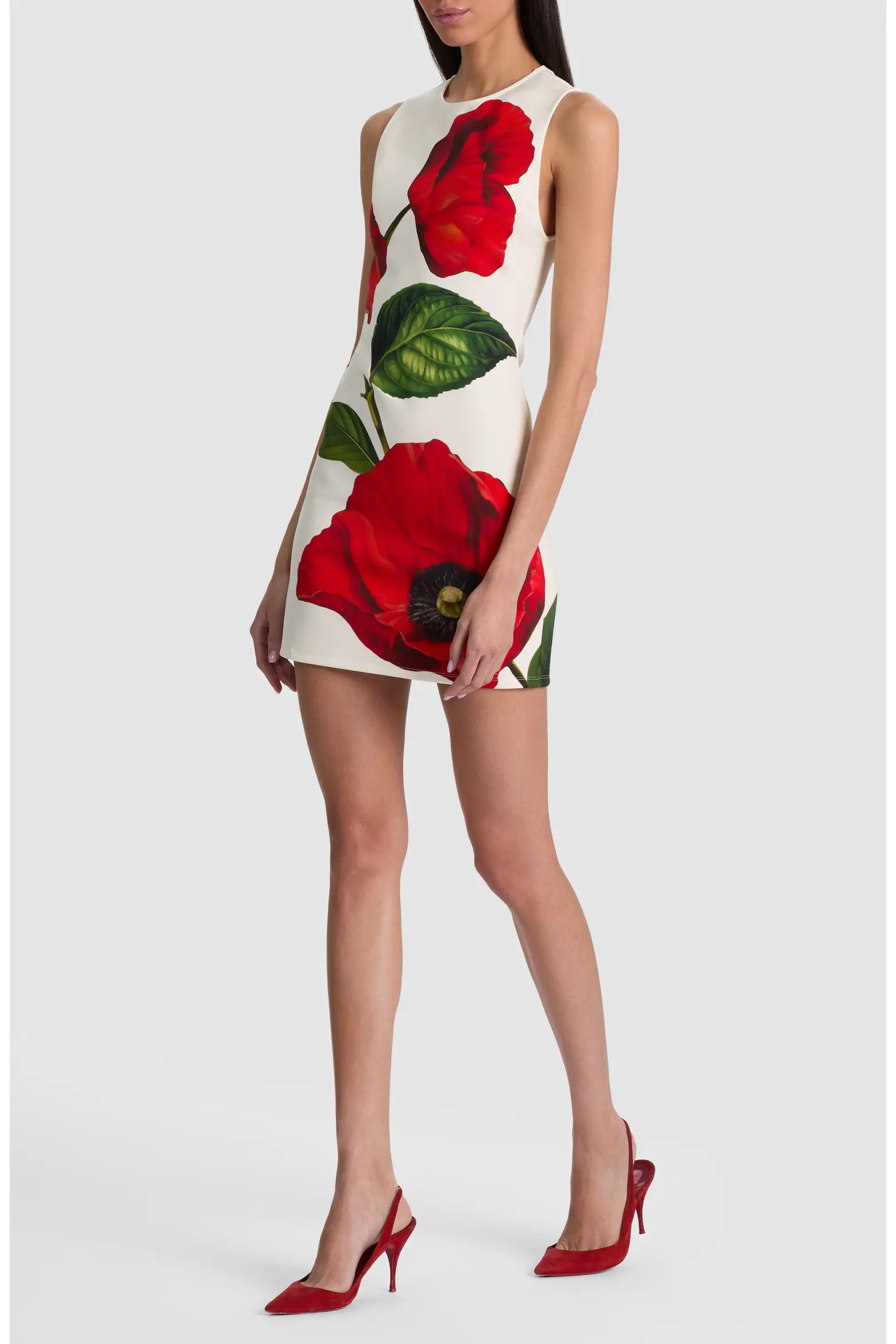 ALICE + OLIVIA Wynell Floral Scuba Knit Minidress (Women) | Nordstrom | Nordstrom