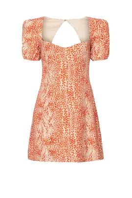 Orange Bianca Mini Dress | Rent the Runway