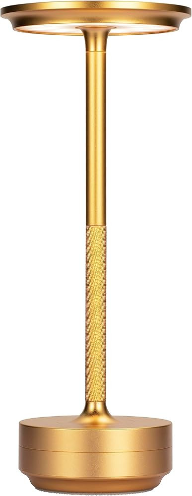 FDIDC Cordless Table Lamp, Rechargeable Battery Operated USB Mini Bedside Lamp 4000mAh LED Portab... | Amazon (US)