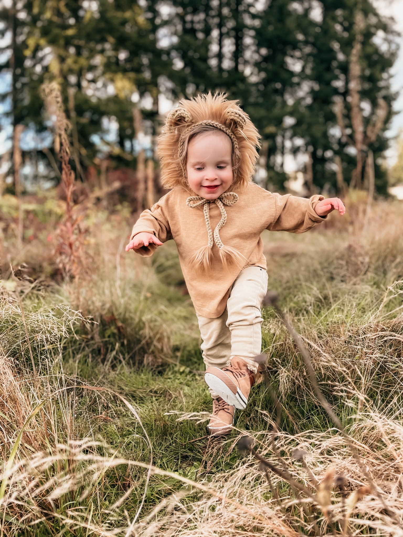Baby costume / toddler costume / diy Halloween costume / lion costume / kids Halloween 

#LTKbaby #LTKkids #LTKHalloween
