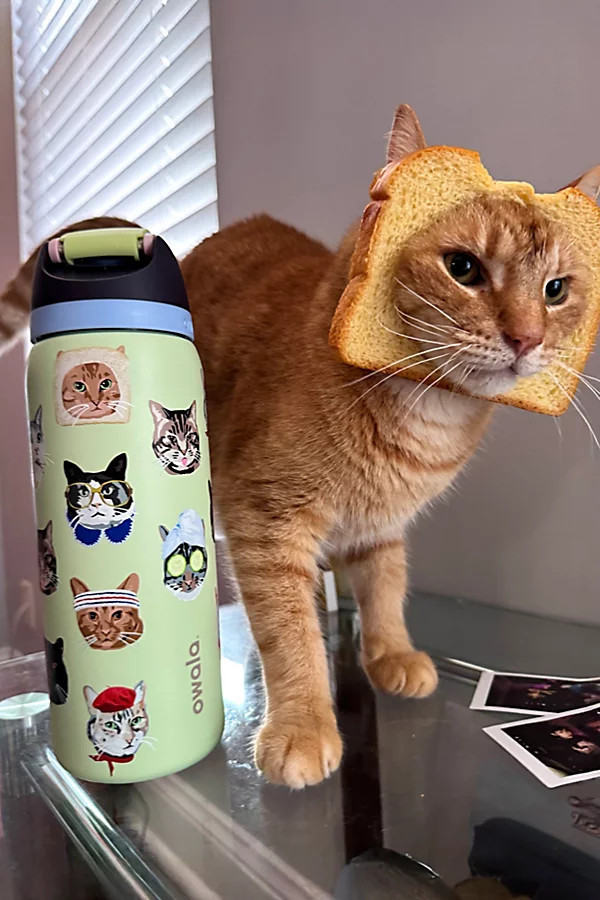 Owala UO Exclusive FreeSip 32 oz Water Bottle in Cat Collage at Urban Outfitters | Urban Outfitters (US and RoW)