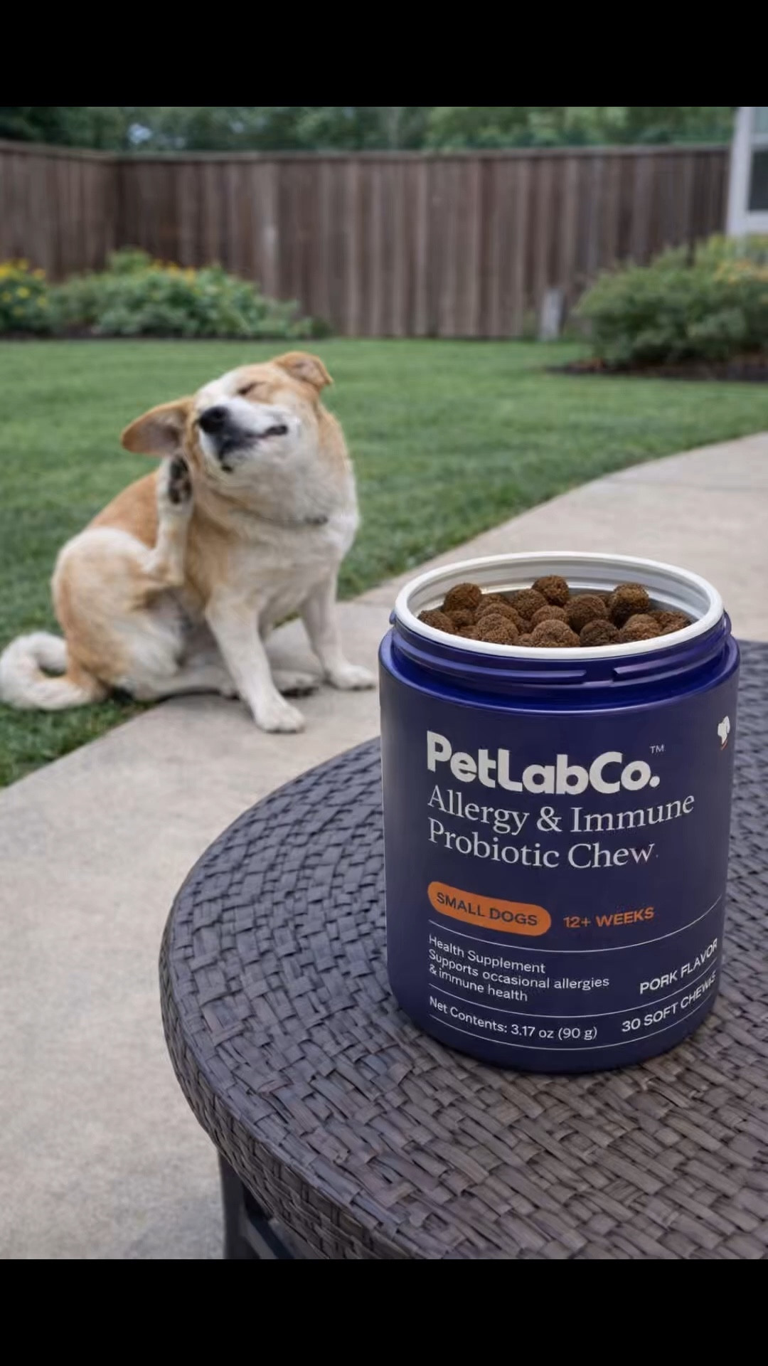 If your dog won’t stop itching or licking their paws, this is worth trying. It supports their immune system and helps with allergies from the inside out. 
#dogallergies #itchydog #dogmomlife #petcare 

#LTKSeasonal #LTKmomlife #LTKdayinmylife