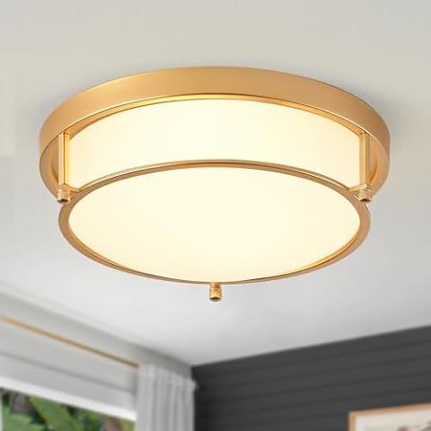 Cargifak Flush Mount Light Fixture, 12 inch 2-Light Modern Ceiling Light with Brass Gold Finish f... | Amazon (US)
