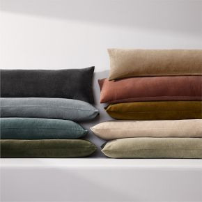 Classic Cotton Velvet Oversized Lumbar Pillow Cover | West Elm (US)