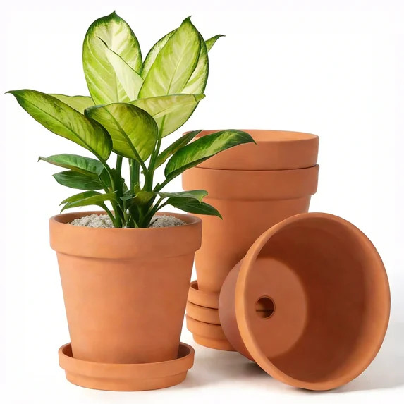 BAODELI Terracotta & Clay Pots for Plants with Saucer, 6 inch Medium Terra Cotta Plant Pots with ... | Walmart (US)