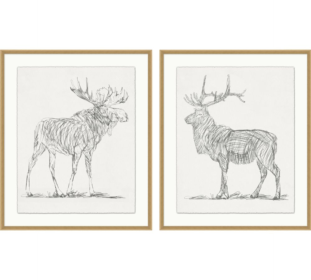 Moose &amp; Elk Gesture Framed Print | Pottery Barn (US)