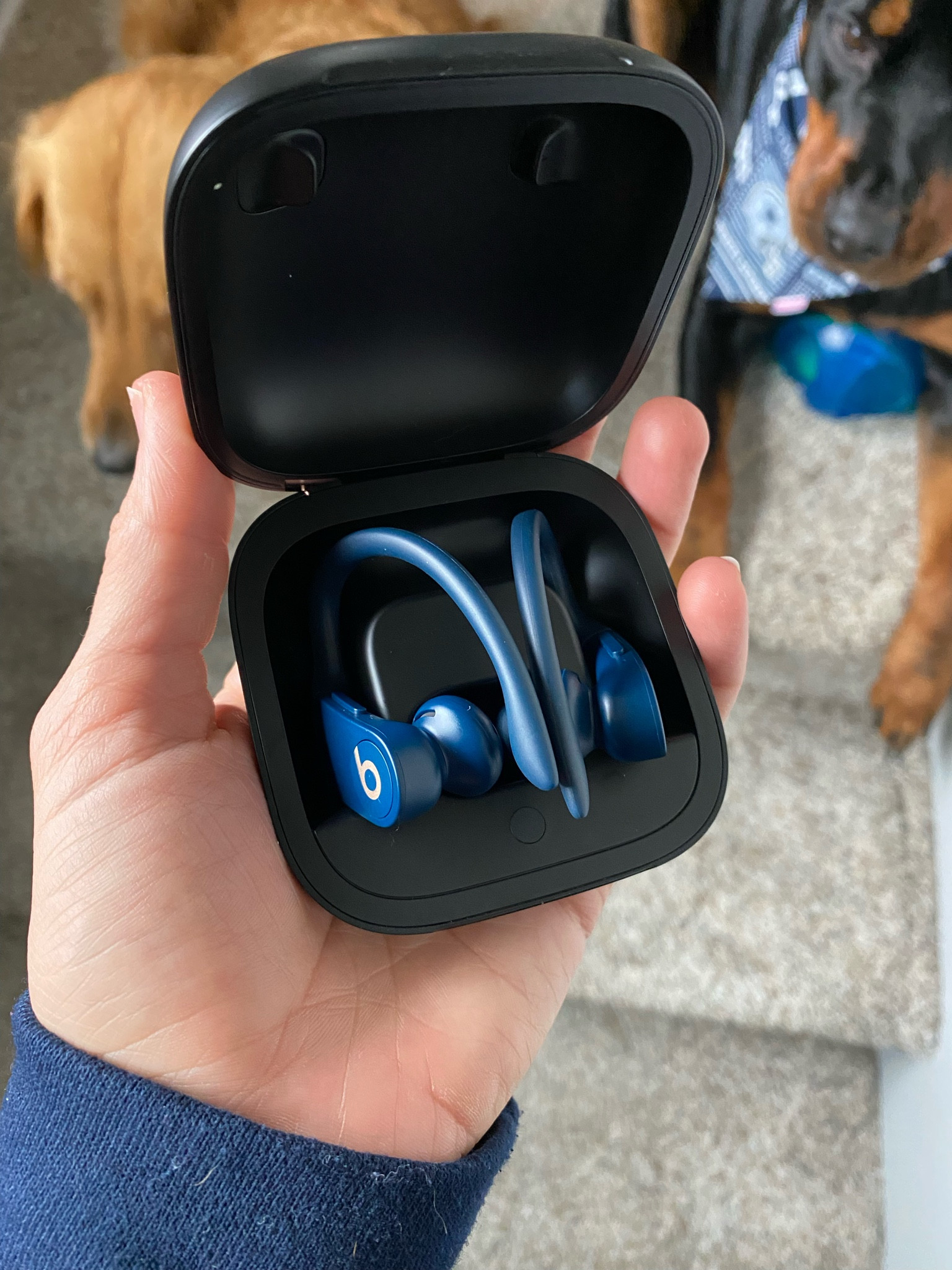 I ditched all my other earbuds because theses really are the best! They stay in your ear and are noise canceling. Worth every penny!

#LTKfamily #LTKGiftGuide #LTKHoliday