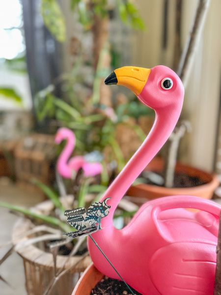 The cutest little watering can you ever did see 🦩

#LTKSeasonal #LTKhome