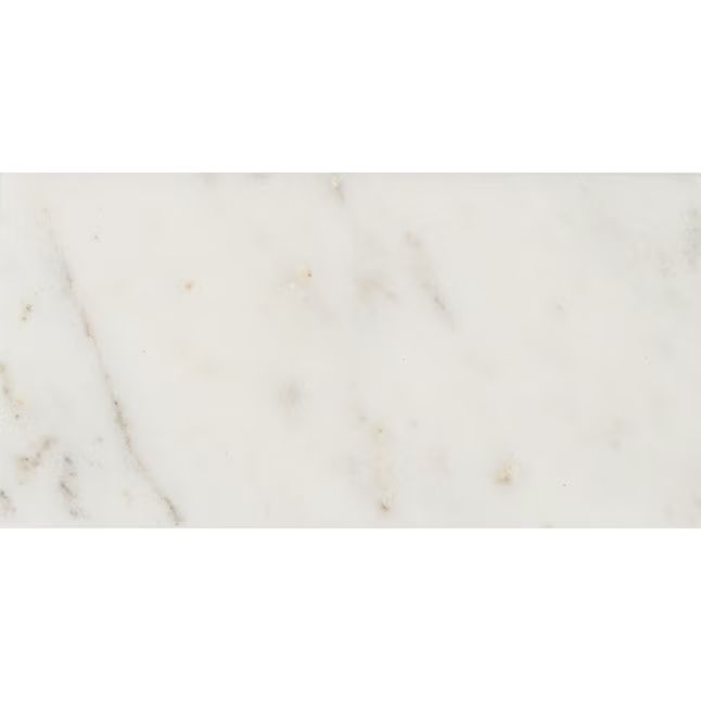 Satori Venatino Polished 3-in x 6-in Polished Natural Stone Marble Subway Wall Tile (0.96-sq. ft/... | Lowe's