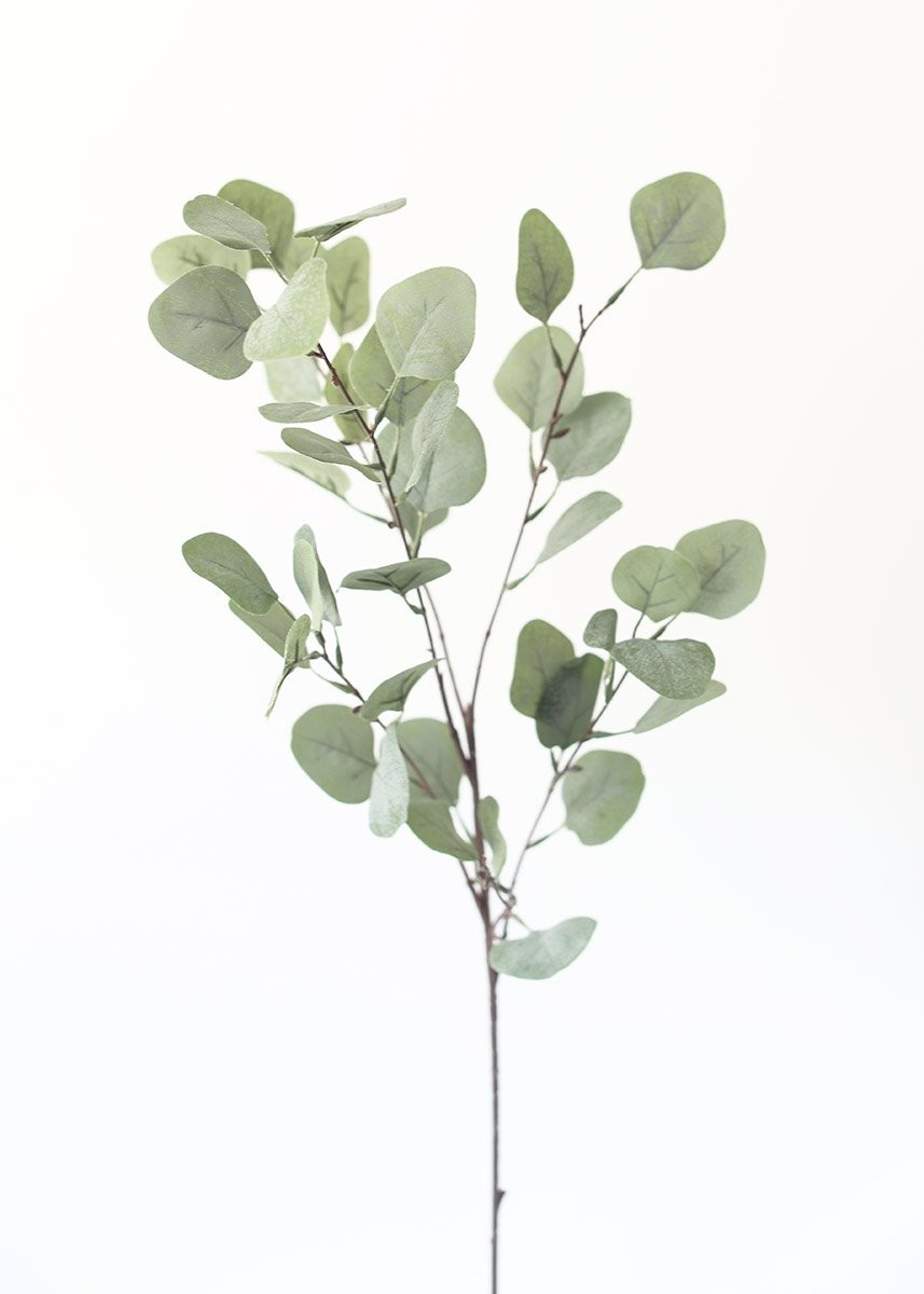 Dusty Grey Fake Silver Dollar Eucalyptus - 36.5" Tall | Afloral (US)