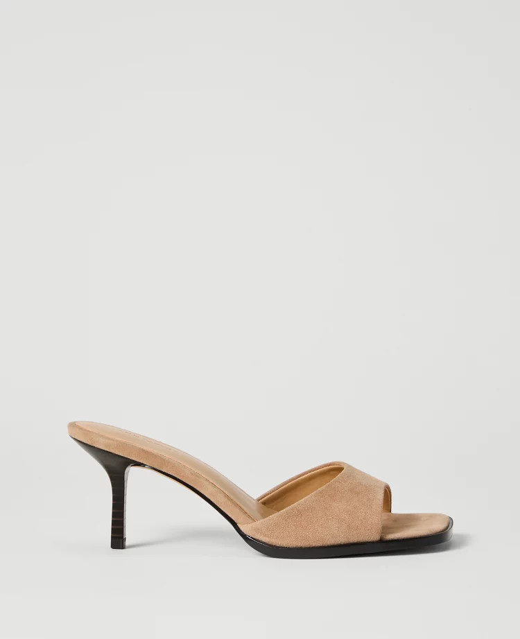Suede Mule | Ann Taylor