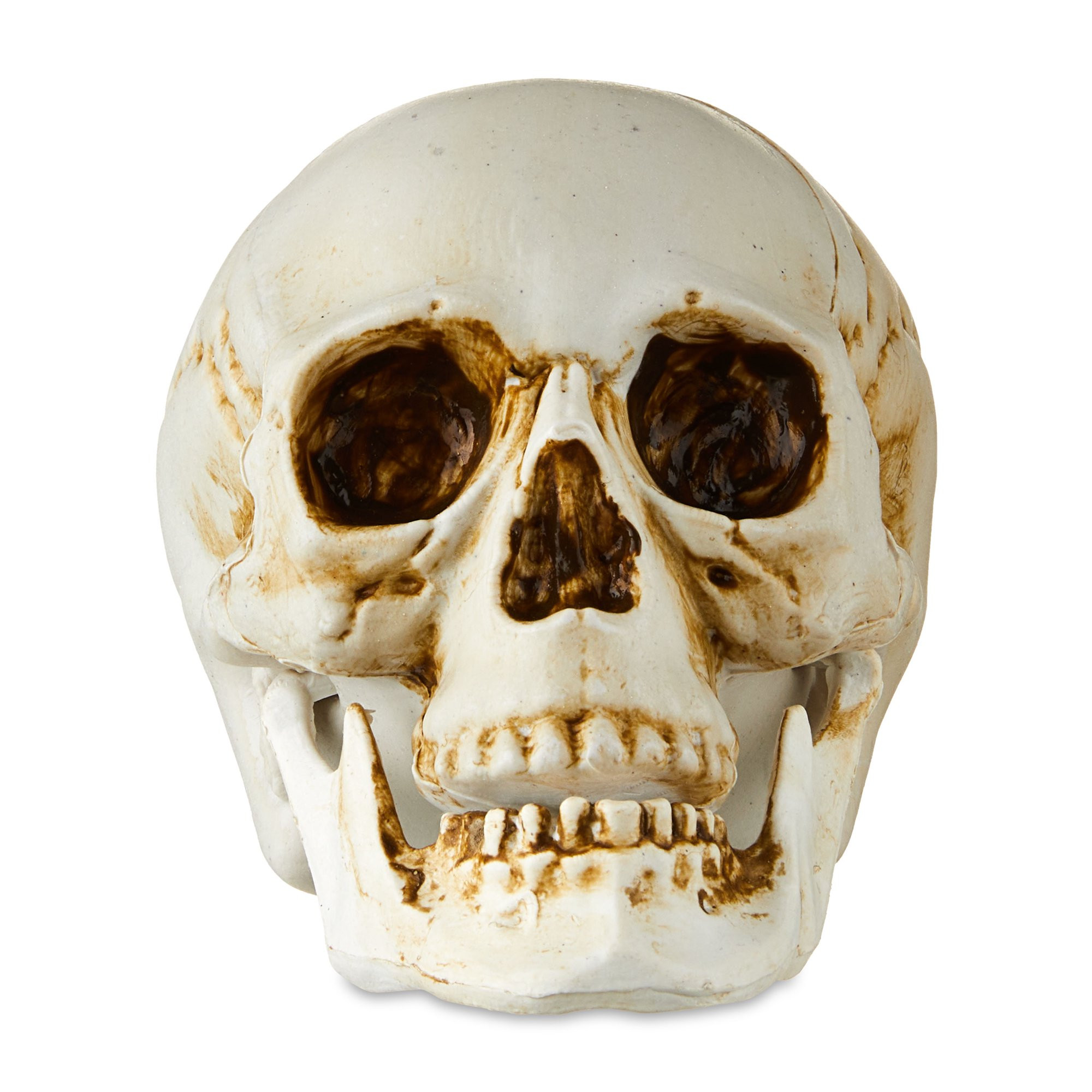 Halloween Faux Skull Decoration with Movable Jaw, 4", Way To Celebrate | Walmart (US)