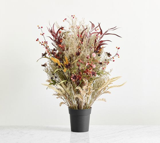 Potted Fantastical Forest Mixed Grass | Pottery Barn (US)