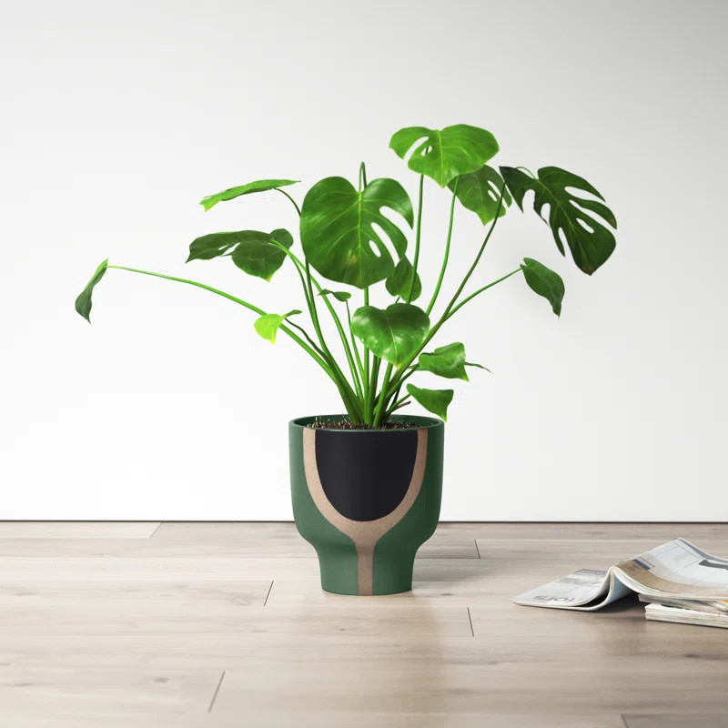 Haynes Handmade Ceramic Pot Planter | Wayfair North America