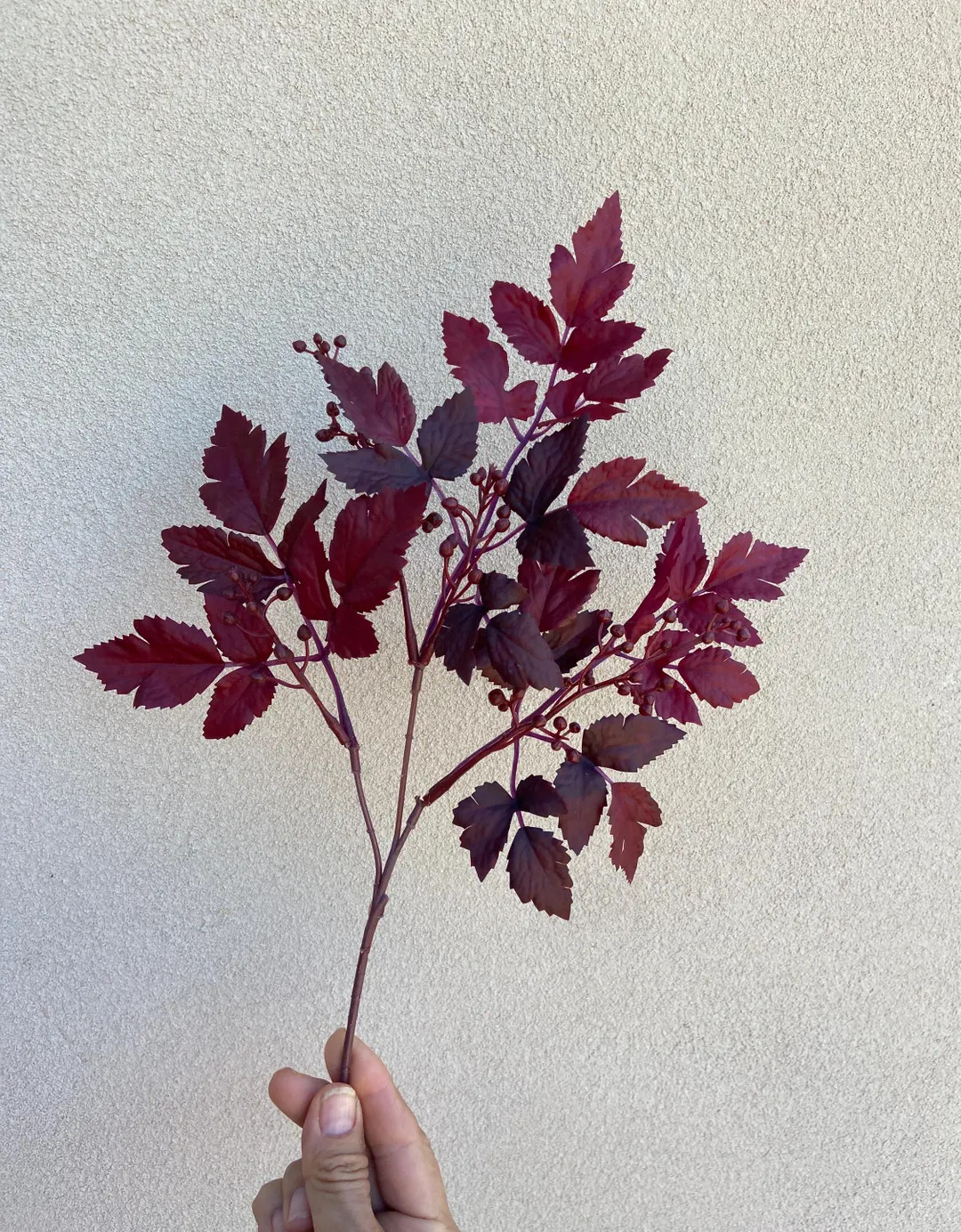 Price:$4.99 | Etsy (US)