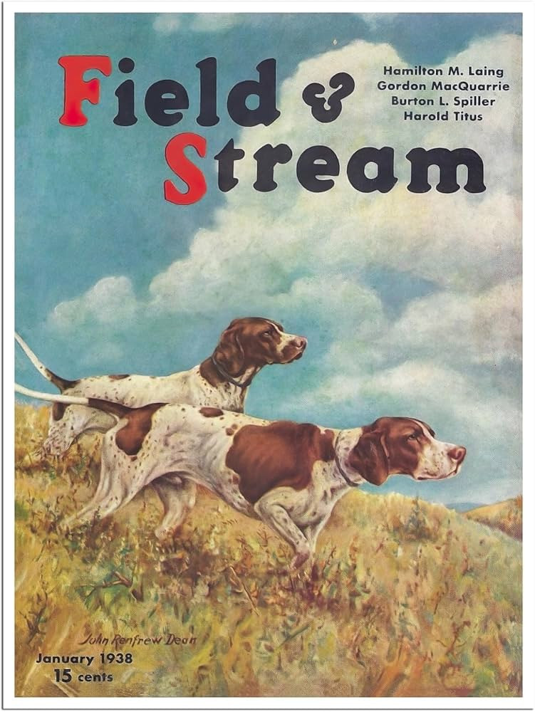 Hunting Poster Field and Stream Cover Art 1938 Bird Dogs Print (H1) (11x14 Inches) | Amazon (US)