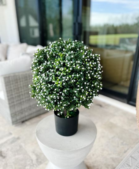 These boxwood topiaries come in a pack of two - I love the white berries on them! Just have to find the perfect pots for them. 
Dining room
Living room
Kitchen
Thislittlelifewebuilt 
Area rug
Gallery wall 
Studio mcgee Target 
Target
Home decor 
Kitchen
Patio furniture 
McGee & co 
Chandelier 
Bar stools 
Console table 
Bedroom
Vacation 

#LTKSeasonal #LTKhome #LTKFind