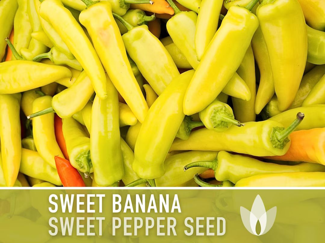 Sweet Banana Pepper Heirloom Seeds - Etsy | Etsy (US)