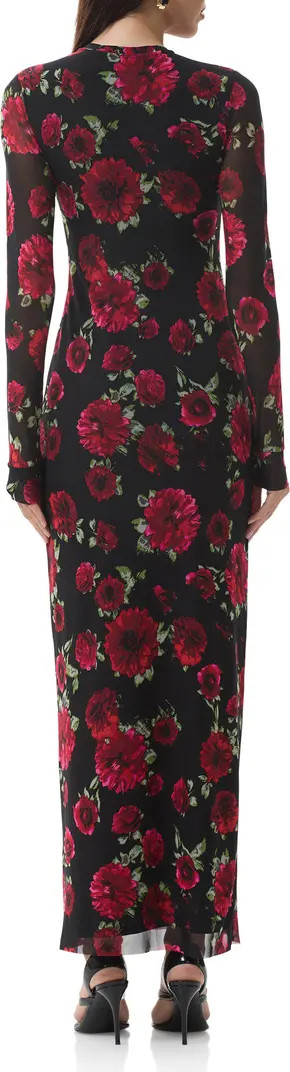 AFRM Didi Printed Long Sleeve Mesh Maxi Dress | Nordstrom | Nordstrom