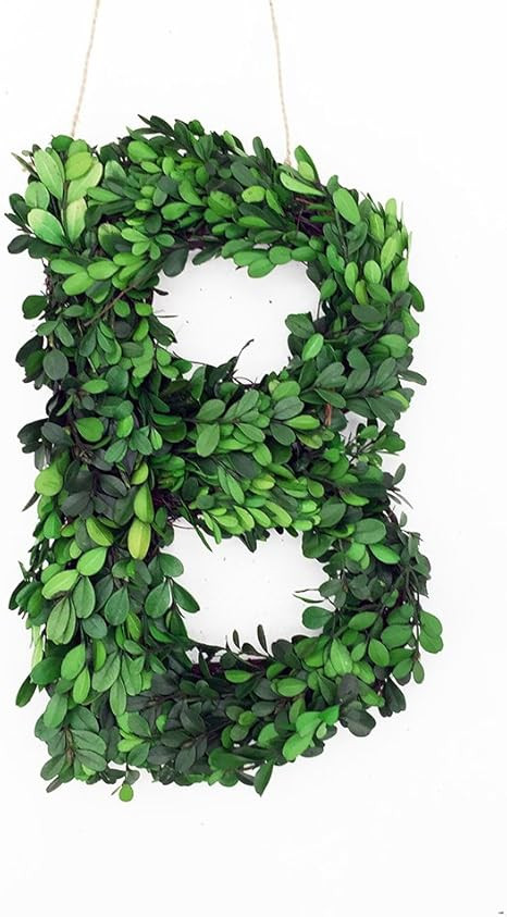 Modern Home 12" Real Preserved Boxwood Monogram Wreath Letters - B | Amazon (US)