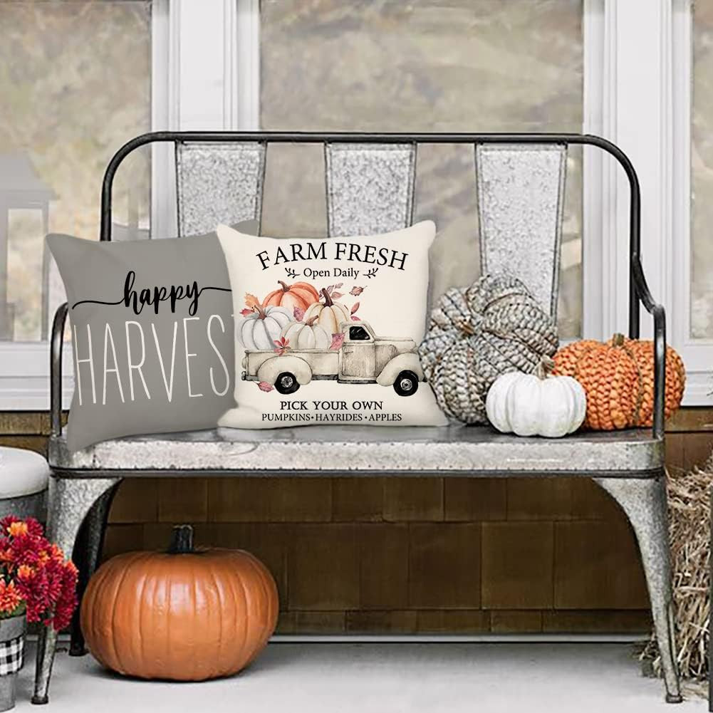 4TH Emotion Fall Decor Pillow Covers 18x18 Set of 4 Gray Pumpkin Farmhouse Decorations Happy Harv... | Amazon (US)