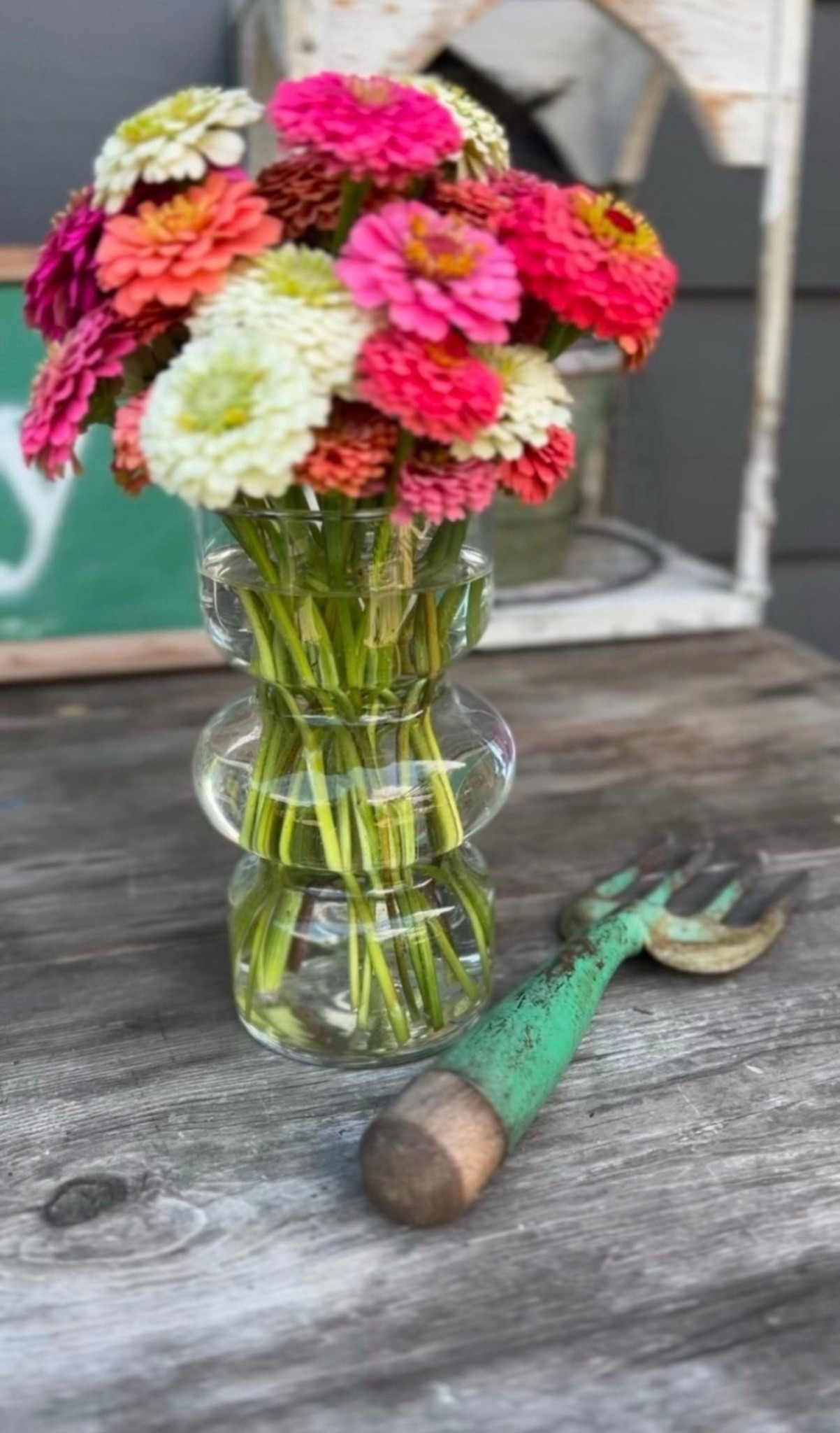 This sweet little bubble vase has been just right for displaying fresh zinnias from the garden. It’s simple, affordable, and makes such a lovely gift for any flower lover. I styled it with a few of my favorite vintage green tools for that extra bit of charm—and I love how it turned out!




#LTKHome #LTKSeasonal #LTKMothersDay