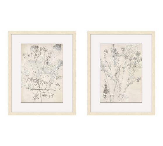 Ivory Foliage Prints | Pottery Barn (US)