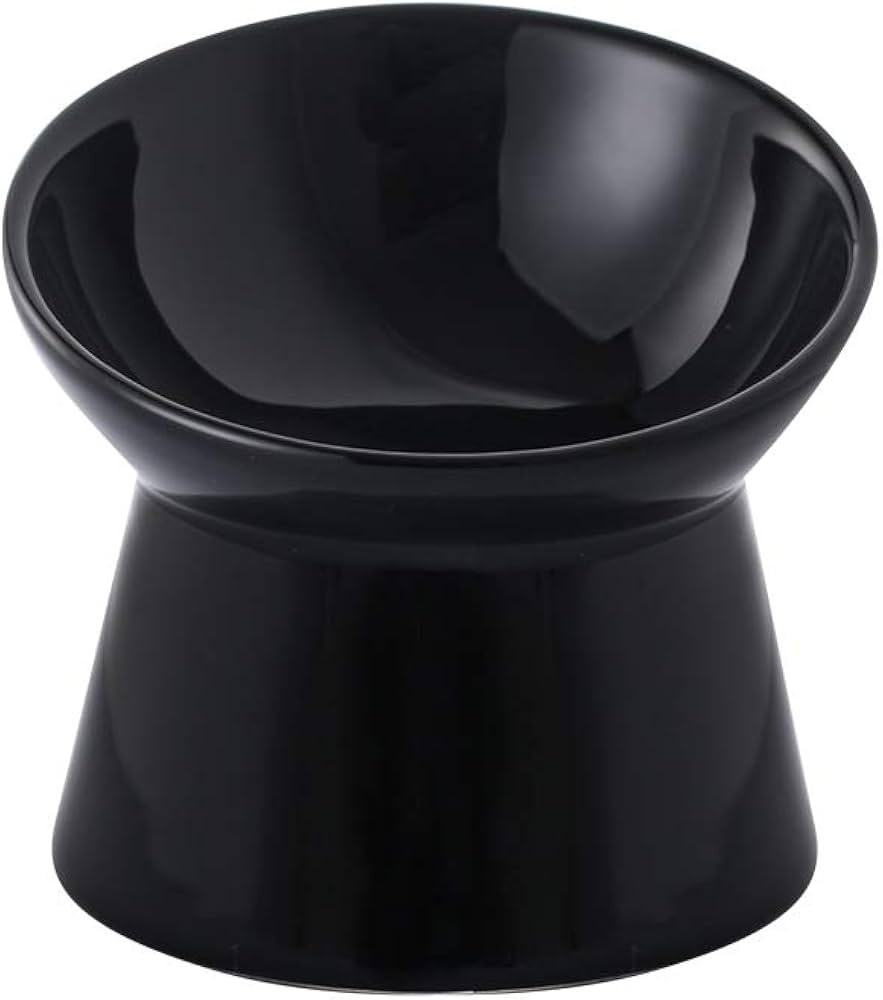 Black Small Ceramic Raised Cat Bowls, Tilted Elevated Food or Water Bowls, Stress Free, Backflow ... | Amazon (US)