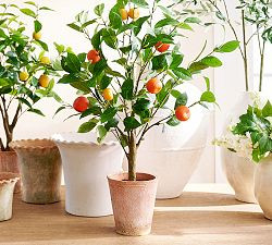 Faux Potted Orange Topiary | Pottery Barn (US)
