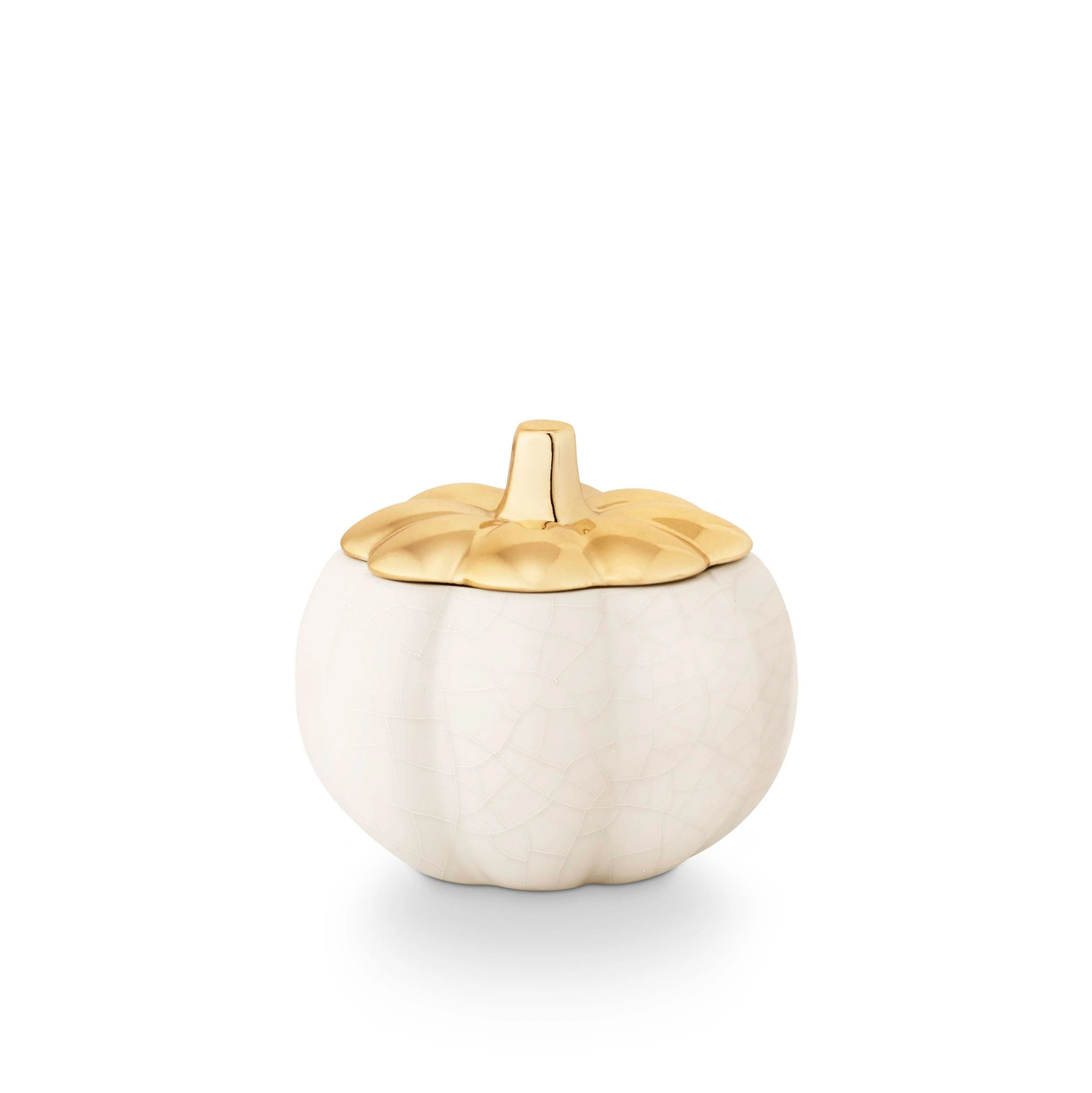 Tried & True Short Pumpkin, Heirloom Pumpkin | Wayfair North America