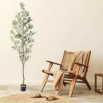 Olive Tree  | Amazon (US)