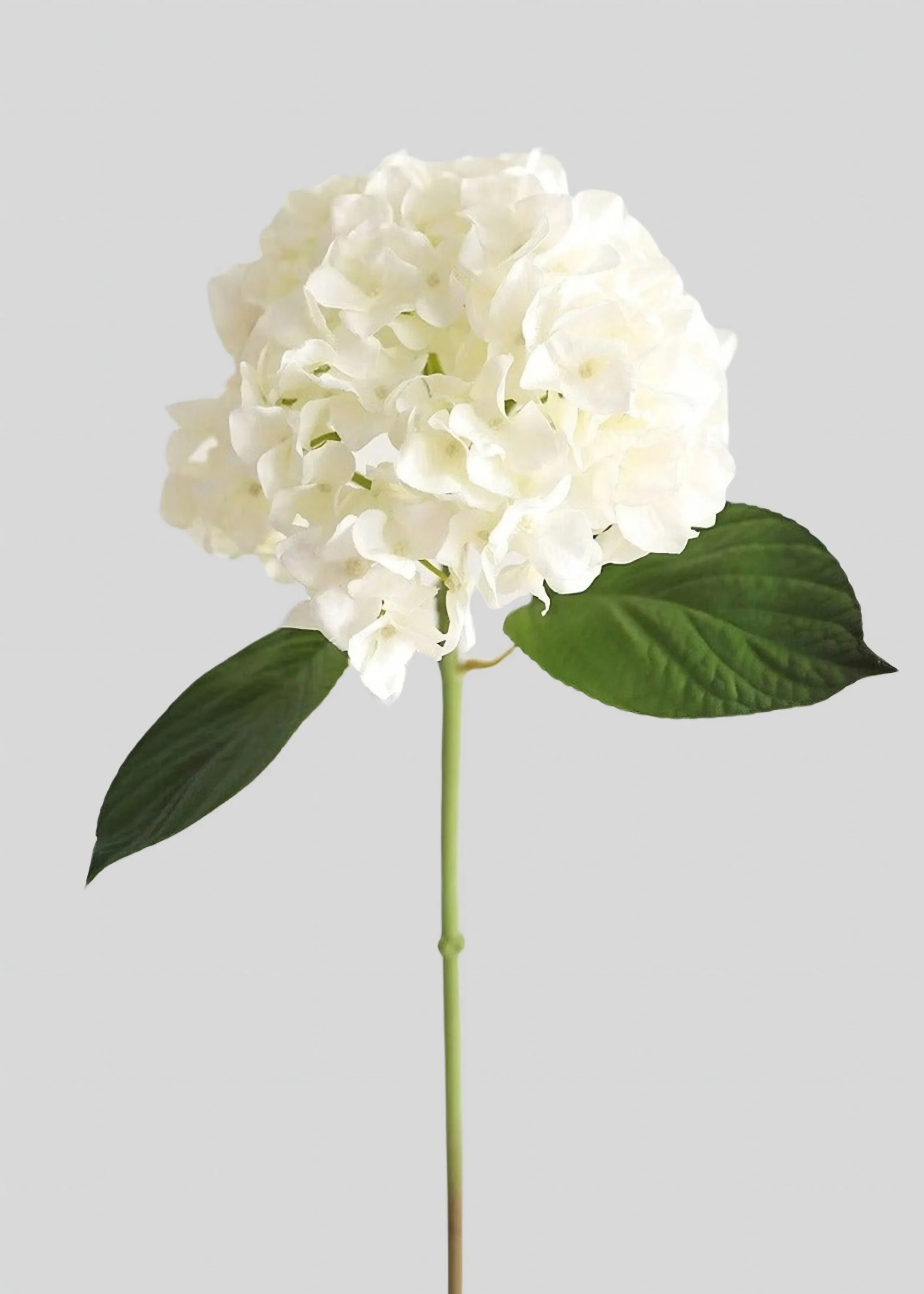 Fake Flowers Real Touch Hydrangea Stem in Talc White - 18 | Afloral