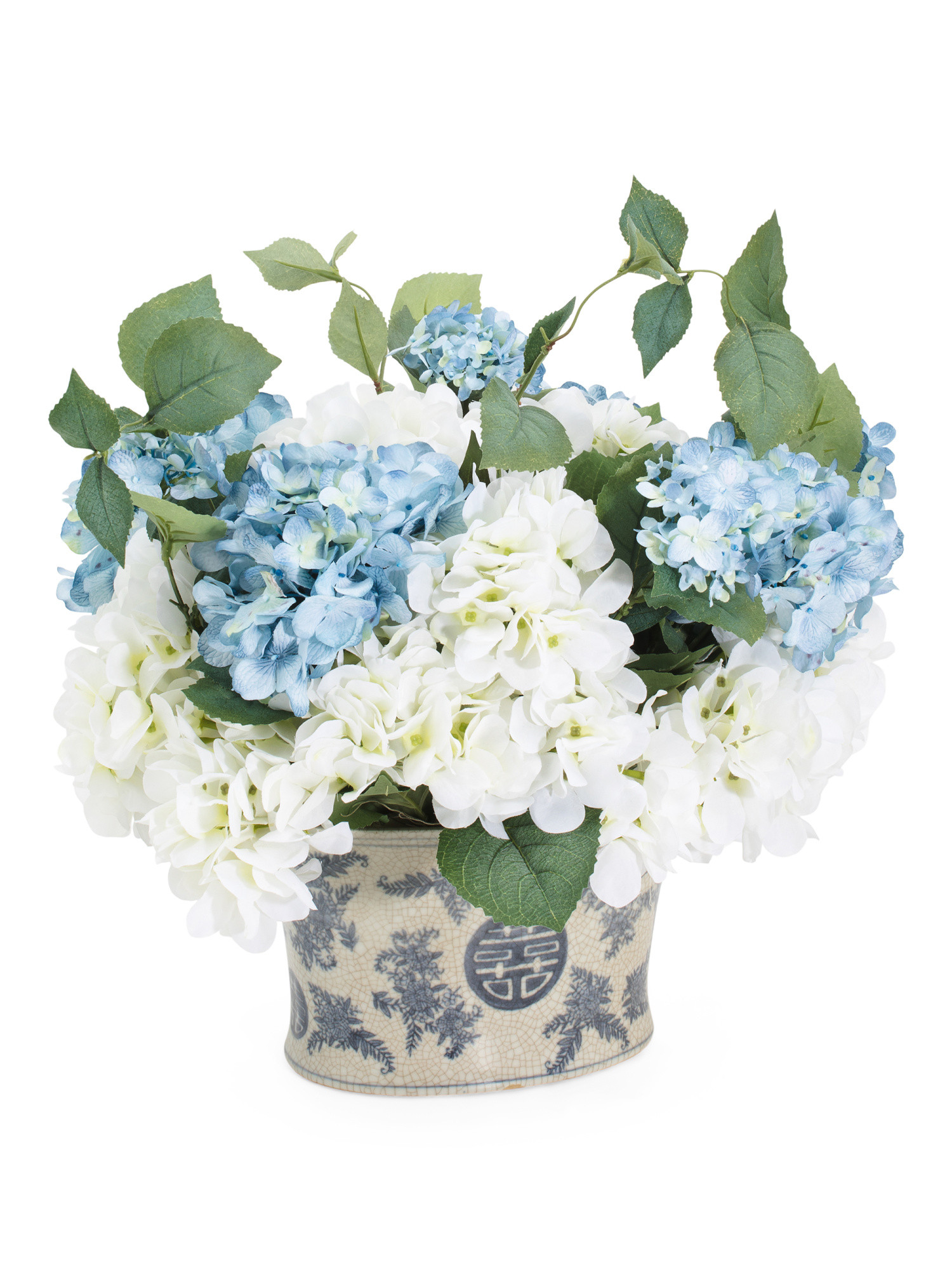 CREATIVE DISPLAYS & DESIGNS
							
							Hydrangea In Ceramic Pot
						
						
							

	
		
	... | Marshalls