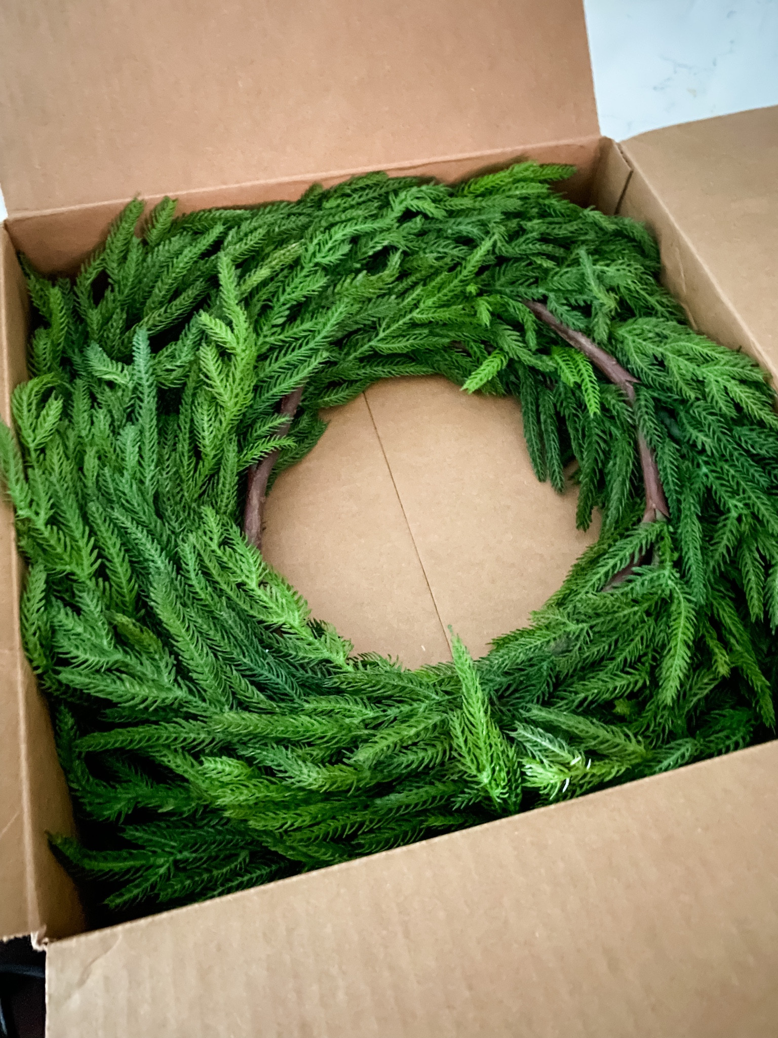 The most gorgeous garland just arrived!!!!  

#LTKSeasonal #LTKhome #LTKHoliday