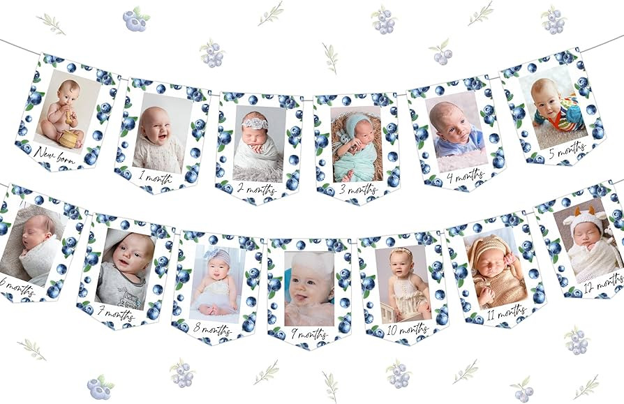 Kreatwow Blueberry 1st Birthday Photo Banner, Hat, Topper - Fruit Themed Decorations for High Cha... | Amazon (US)