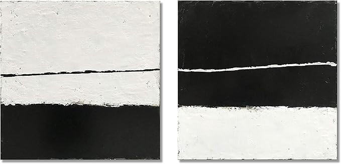 Diathou 2 Piece Wall Art Hand-Painted Black and White Abstract Paintings on Canvas Wall Art 20*20... | Amazon (US)