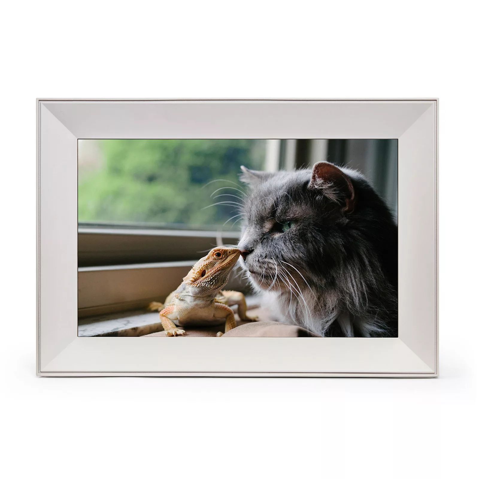 Aura Frames Buddy by Aura - WiFi Digital Photo Frame, Beig/Green | Kohl's