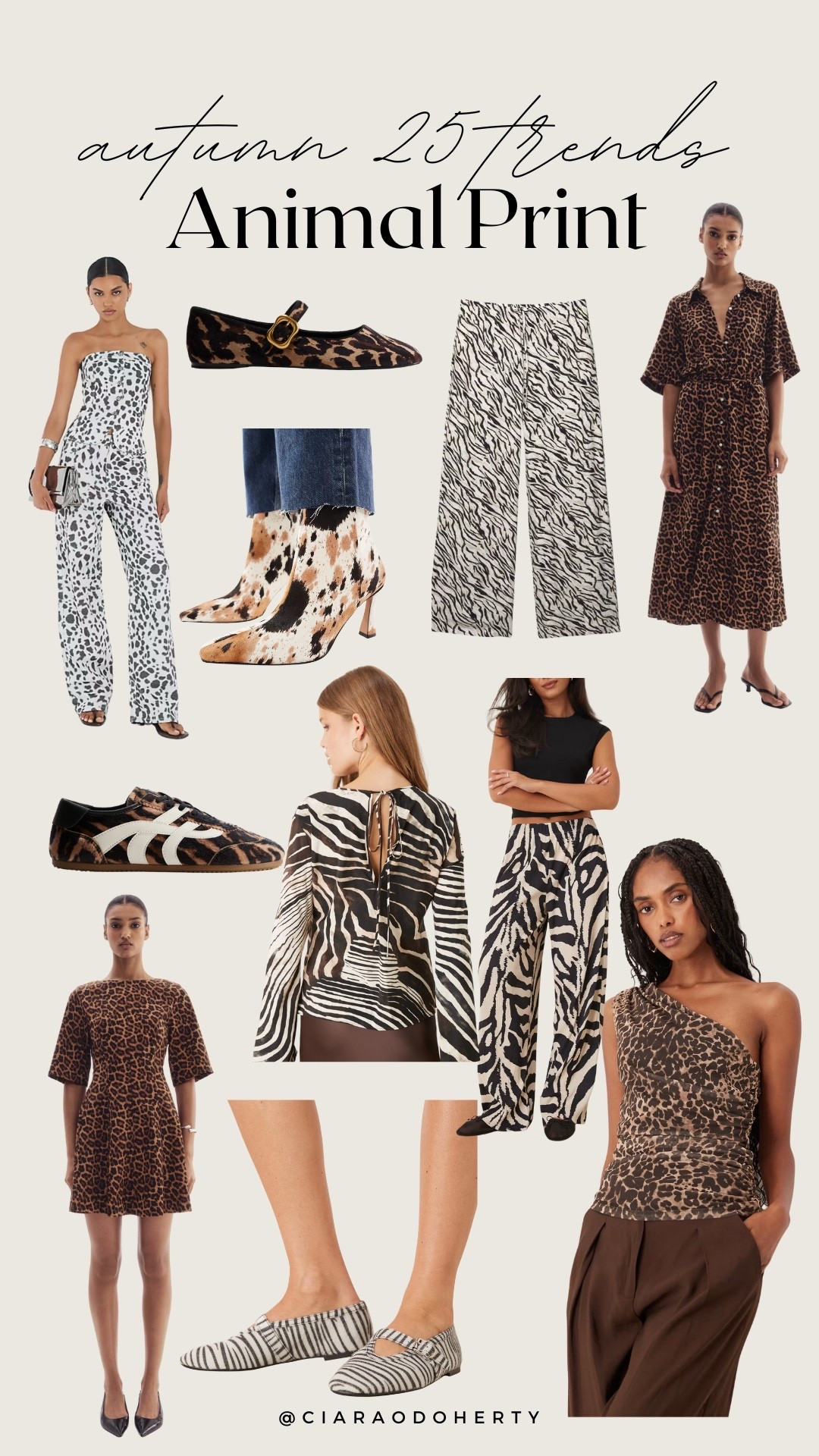 Autumn 25 Trends: Animal Print 
Zebra print, cheetah print, animal print runners , 

#LTKeurope #LTKautumn #LTKireland