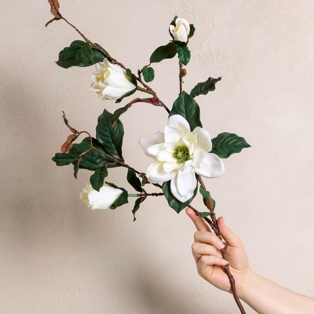 Magnolia Spray | Magnolia