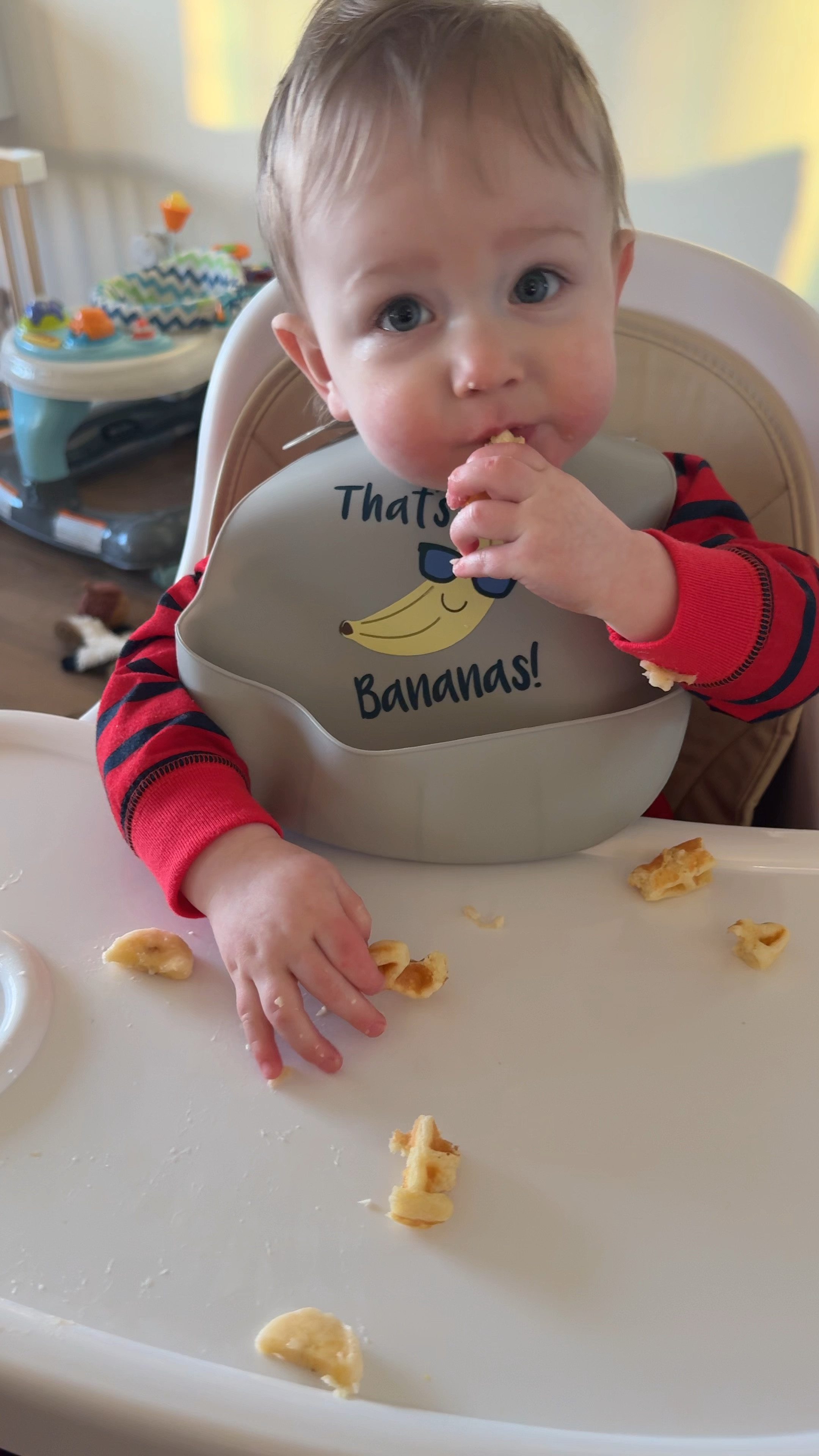 Best food bibs! 

#LTKGiftGuide #LTKBaby