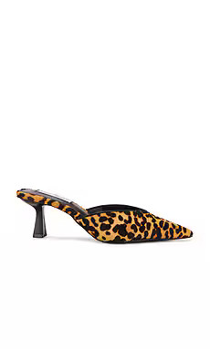Steve Madden Mod Mule in Leopard from Revolve.com | Revolve Clothing (Global)
