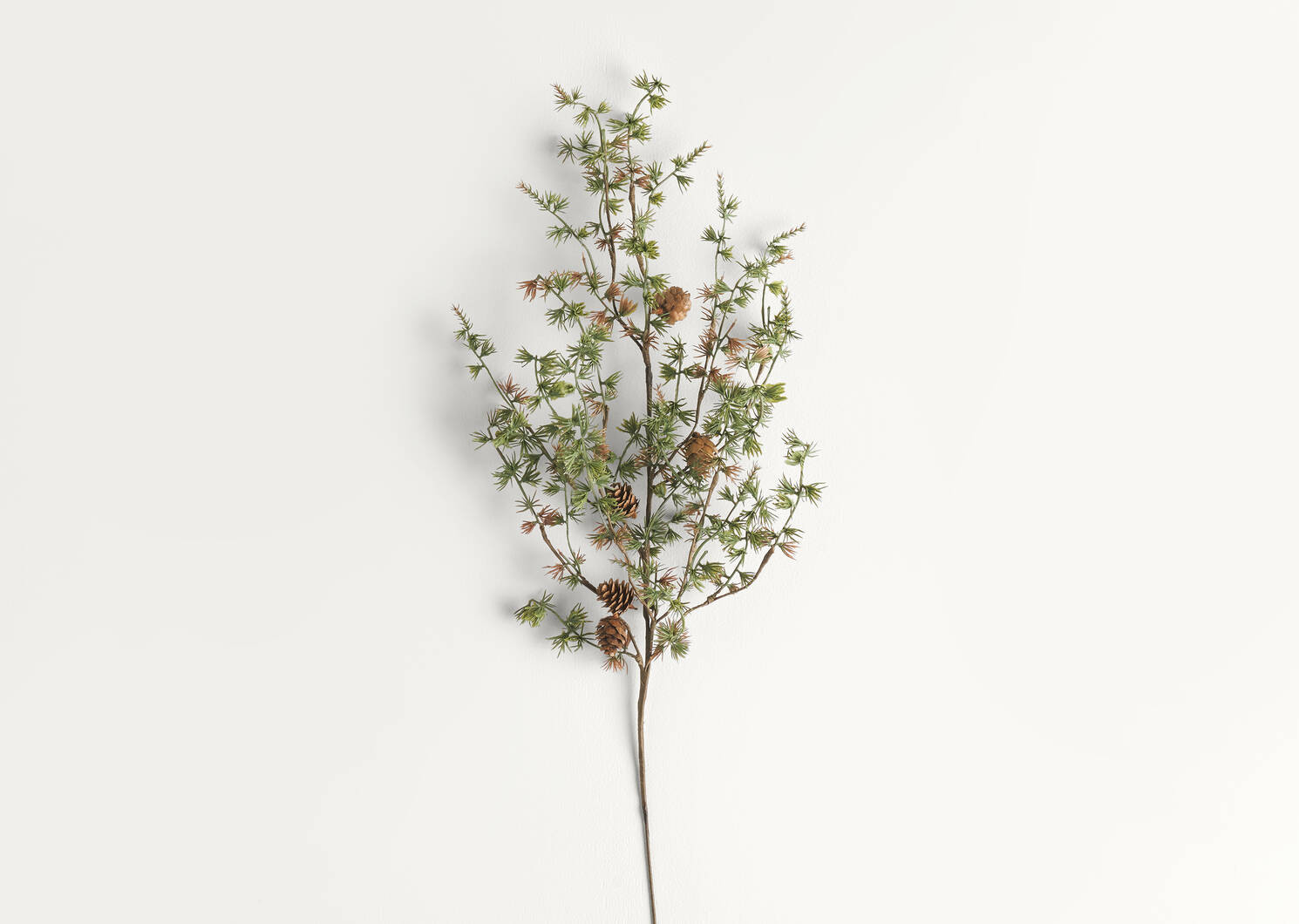 Sapling Pine Spray Branch | Urban Barn