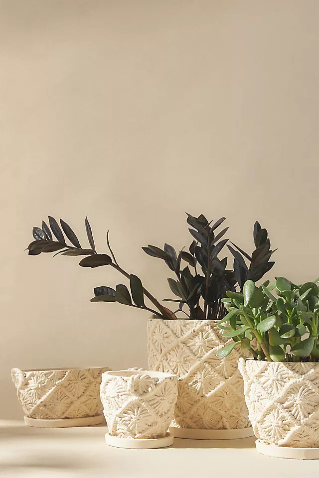 Macrame Cement Planter | Anthropologie (US)