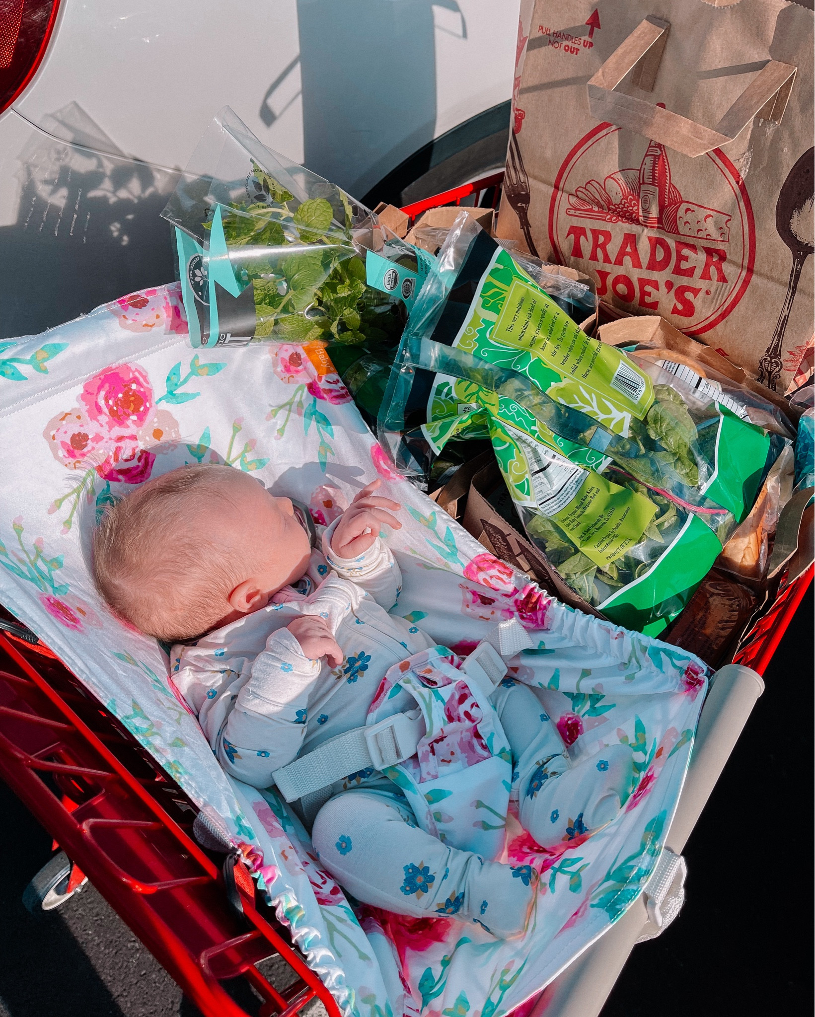 I get stopped multiple times everyone I’m grocery shopping and I don’t blame them because this is hands down one of the most brilliant baby accessories I’ve ever seen. No more trying to stuff everything in the bottom of the stroller or the carseat taking up 75% of the cart.

The price had me hesitant at first but it’s worth every penny!! The quality is top notch and I love how sturdy but soft the hammock is. This will def be a gift I get all my mama friends!

#LTKKids #LTKBaby #LTKBump