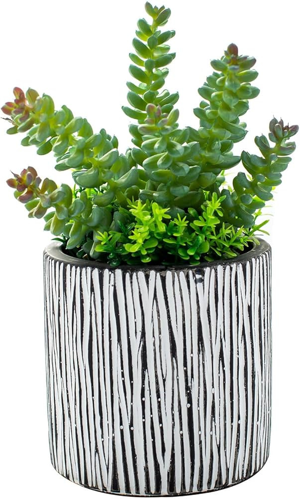 AlphaAcc Mini Succulent Plants for Shelf Decor Real Looking Greenery Fake Succulents Indoor Potte... | Amazon (US)