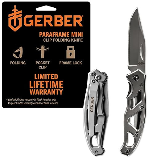 Gerber Gear Paraframe Mini Pocket Knife, 2.2" Fine Edge Small EDC Folding Knife with Safety Lock ... | Amazon (US)